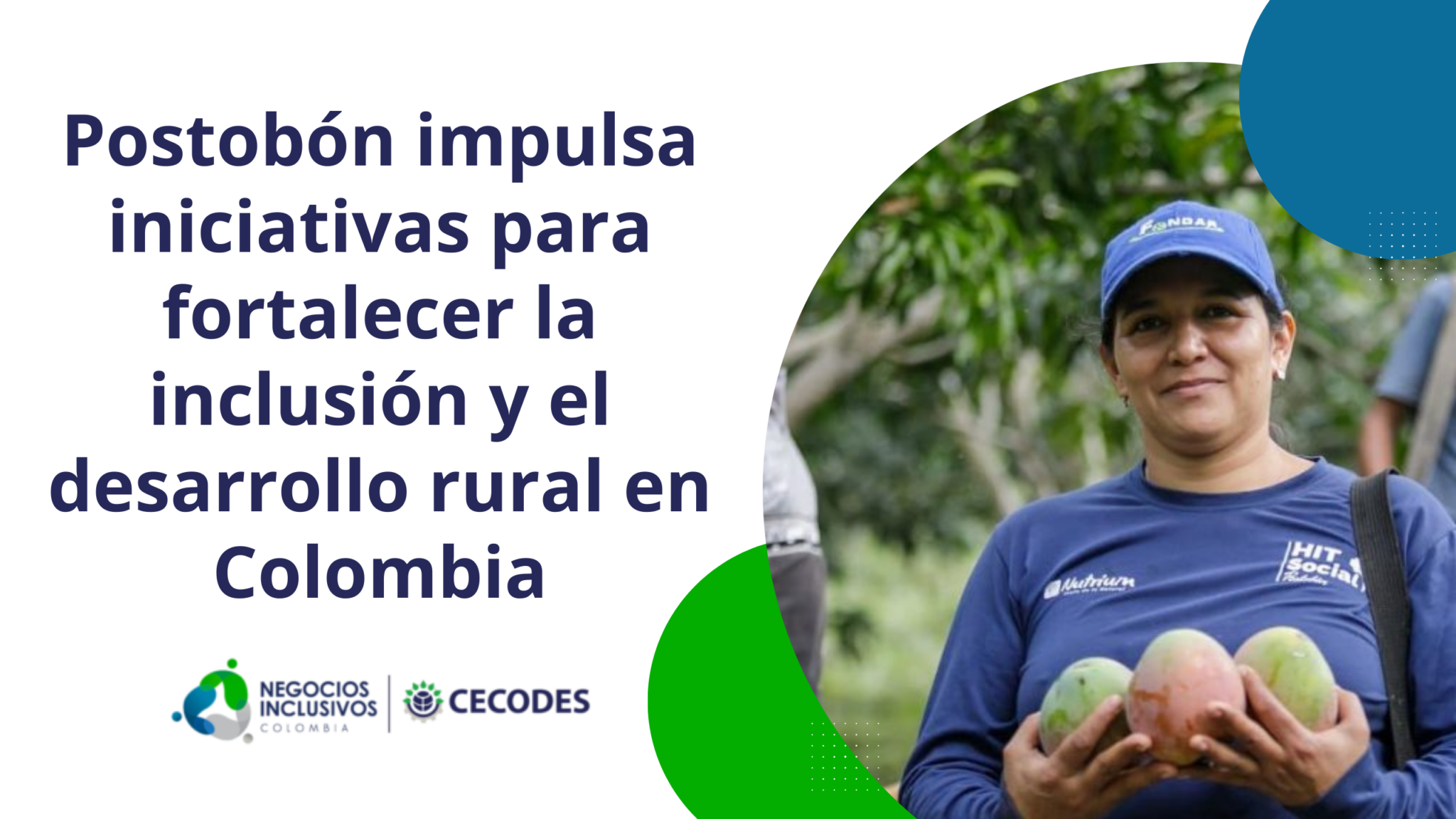 Negocios Inclusivos Colombia